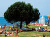 Polari Camping 